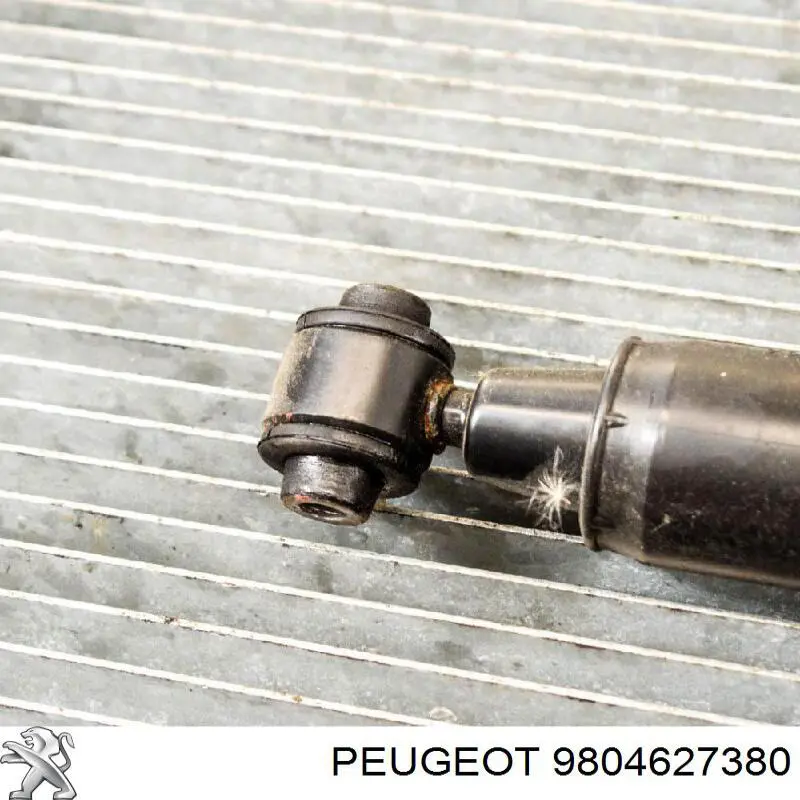 Compre 9804627380 Peugeot/Citroen 