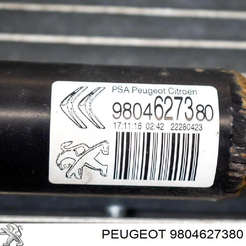  9804627380 Peugeot/Citroen