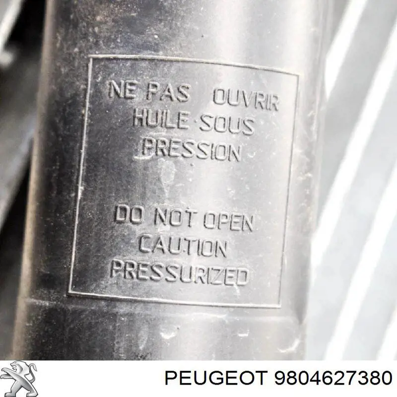  9804627380 Peugeot/Citroen