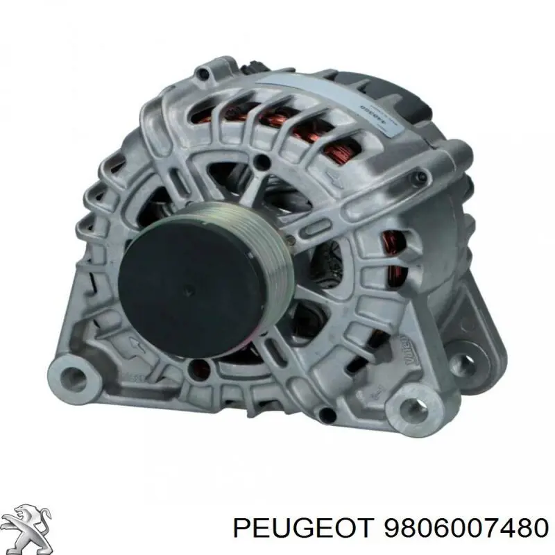 9806007480 Peugeot/Citroen Gerador