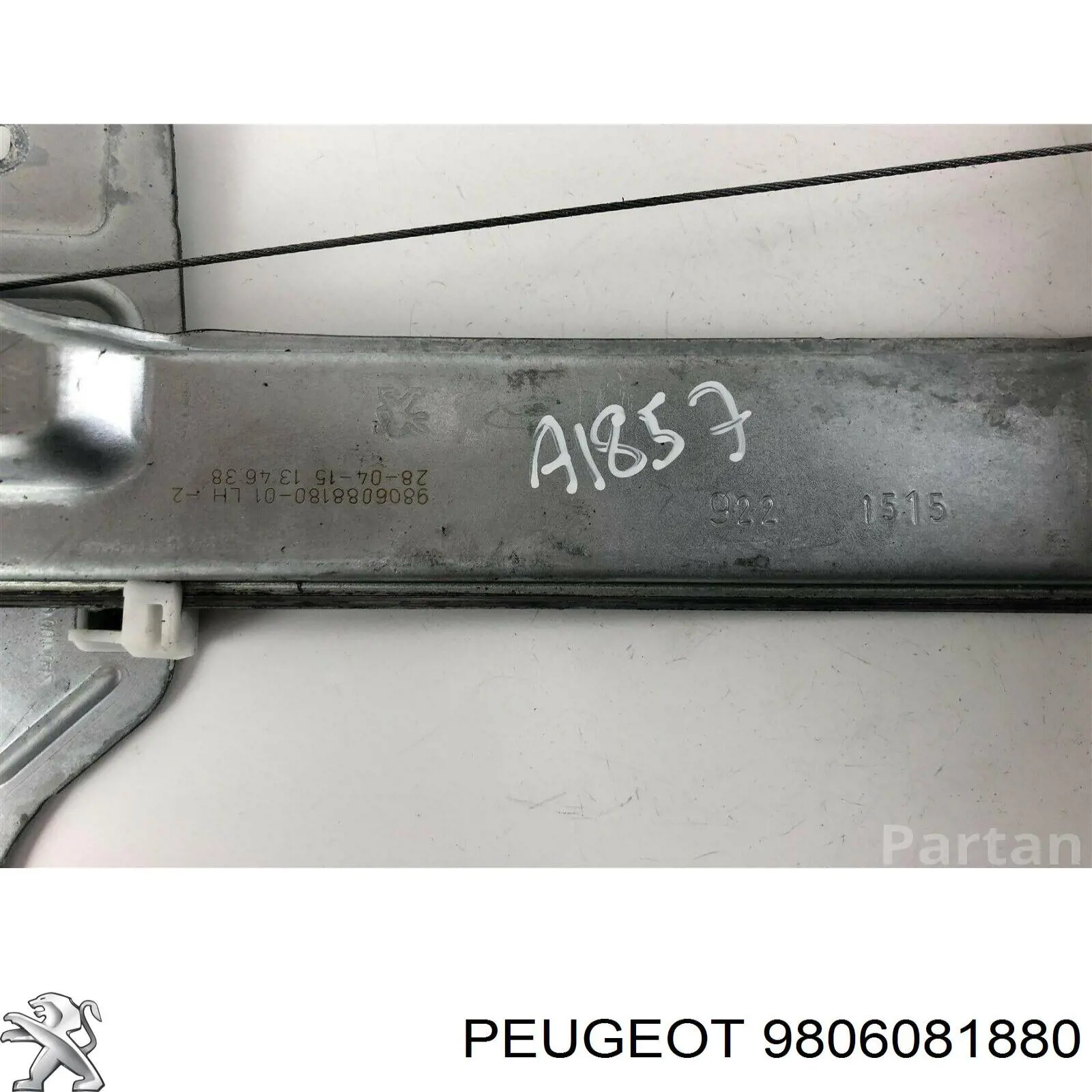9806081880 Peugeot/Citroen 