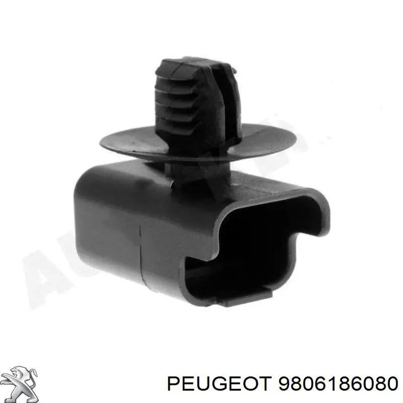  Peugeot/Citroen 9806186080