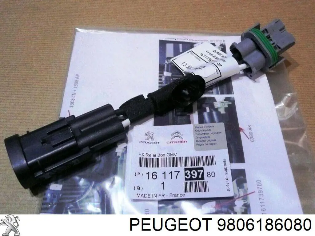  9806186080 Peugeot/Citroen