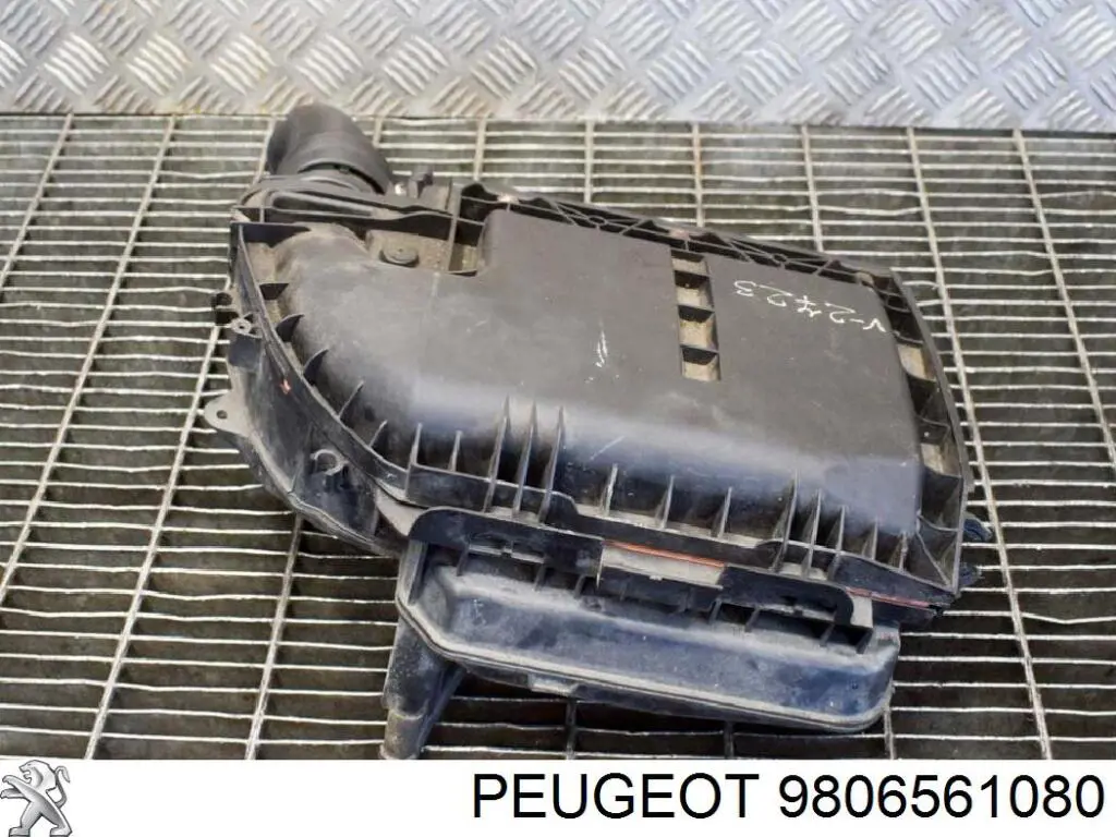 Compre 9806561080 Peugeot/Citroen Caixa de filtro de ar