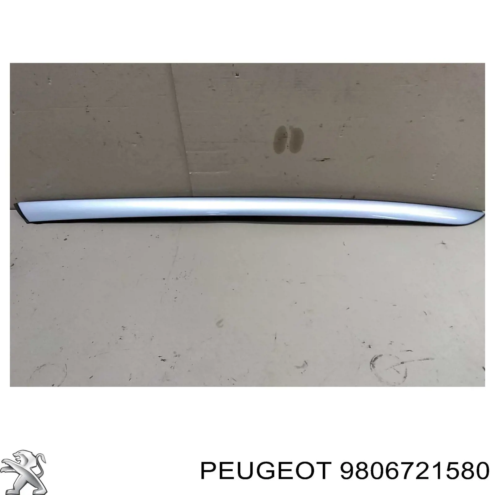  9806721580 Peugeot/Citroen