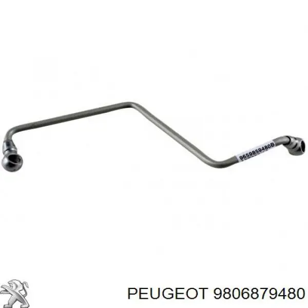 Compre 9806879480 Peugeot/Citroen Tubo (mangueira) de fornecimento de óleo de turbina