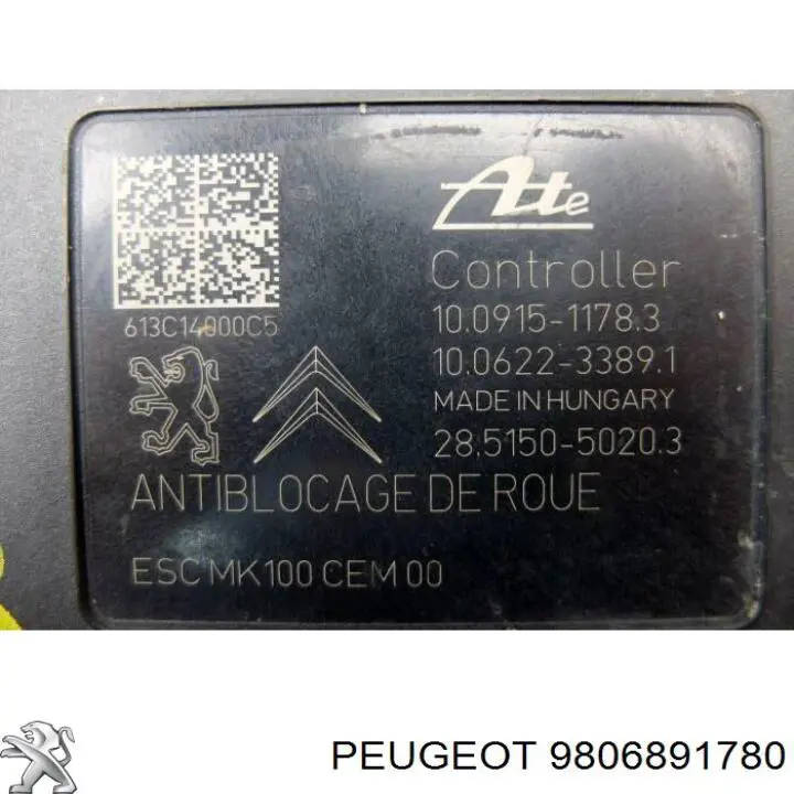 9806891780 Peugeot/Citroen 