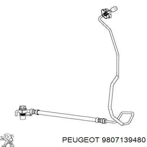 Mangueira do freio traseira direita Peugeot/Citroen 9811592780 preço, a partir de 35,03 USD