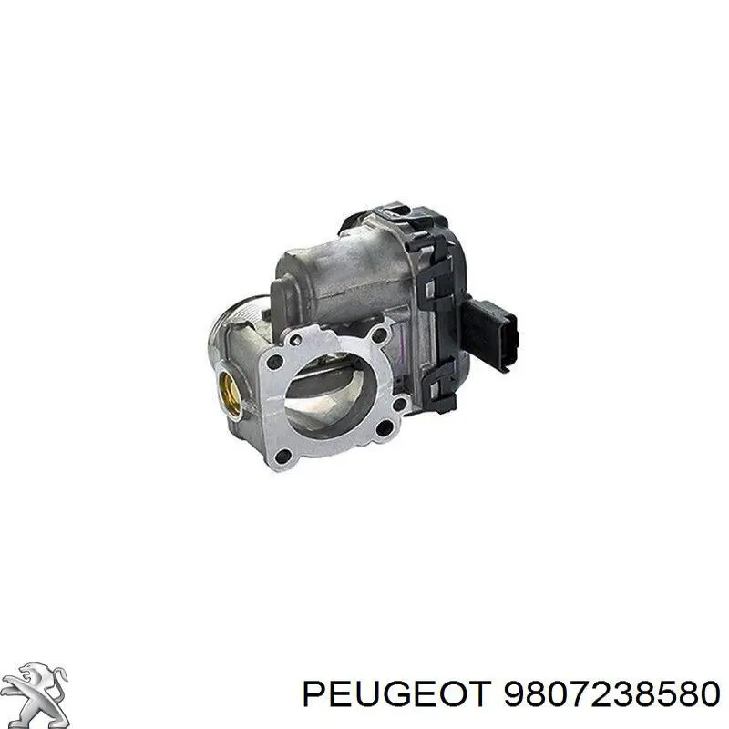 9807238580 Peugeot/Citroen Válvula de borboleta montada