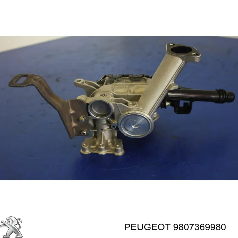 9807369980 Peugeot/Citroen Válvula EGR de recirculação dos gases