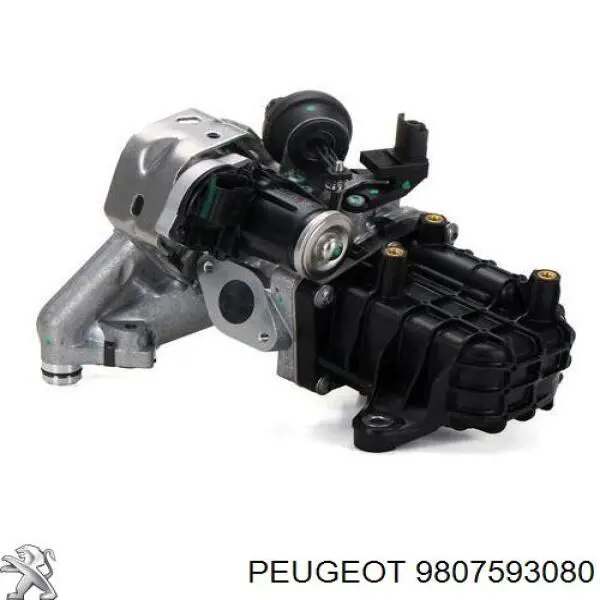 9807593080 Peugeot/Citroen Válvula EGR de recirculação dos gases