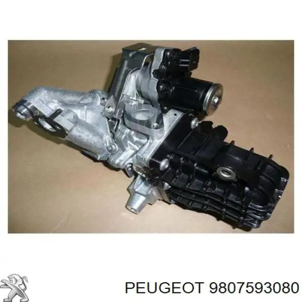 Válvula EGR de recirculação dos gases Peugeot/Citroen 9807593080 preço, a partir de 277,52 USD