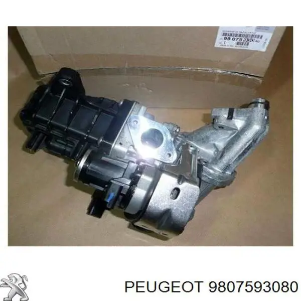 Compre 9807593080 Peugeot/Citroen Válvula EGR de recirculação dos gases