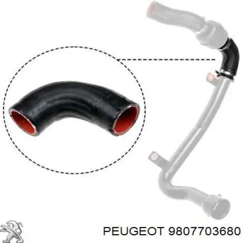 9807703680 Peugeot/Citroen Tubo (mangueira) de fornecimento de óleo de turbina