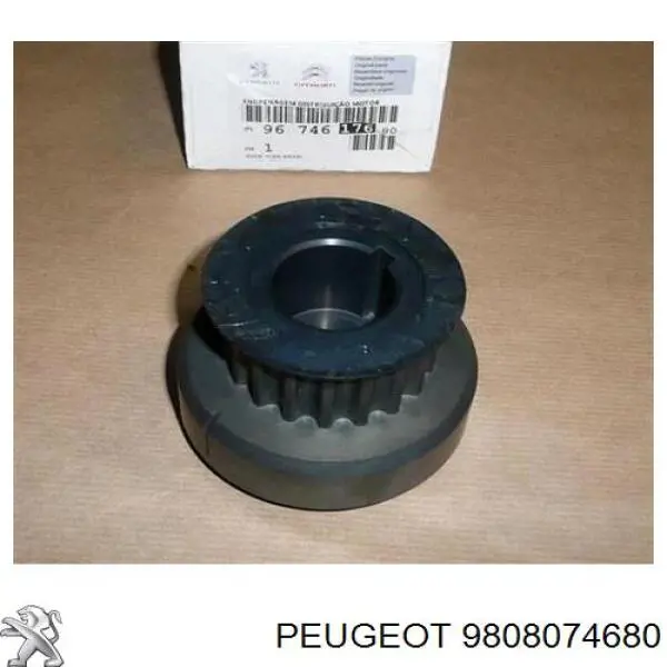 9808074680 Peugeot/Citroen 