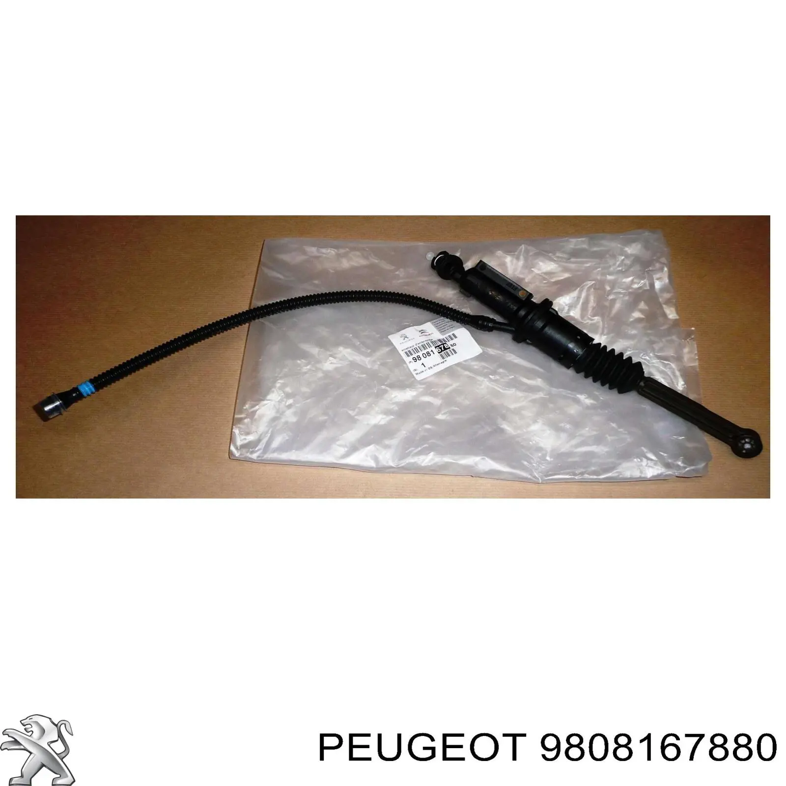 Cilindro mestre de embraiagem Peugeot/Citroen 9808167880 preço, a partir de 39,87 USD