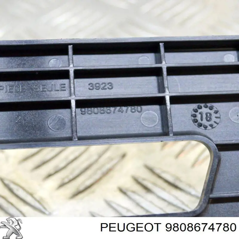9808674780 Fiat/Alfa/Lancia Fixação (suporte) de bateria recarregável