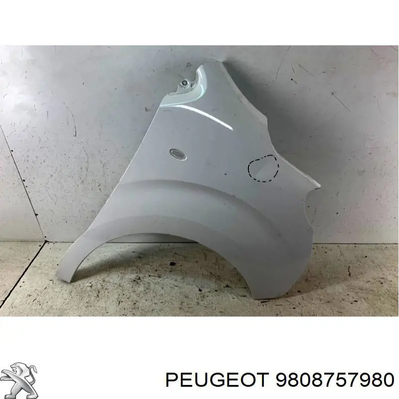 Pára-lama dianteiro direito 9808757980 Peugeot/Citroen