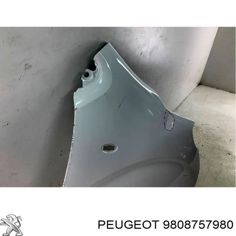 Pára-lama dianteiro direito Peugeot/Citroen 9808757980