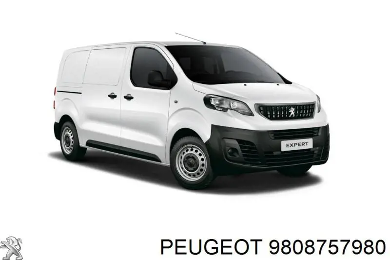 9808757980 Peugeot/Citroen Pára-lama dianteiro direito