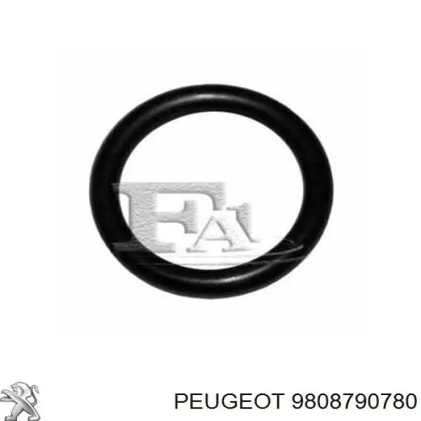 Compre 9808790780 Peugeot/Citroen Vedante de mangueira de fornecimento de óleo de turbina
