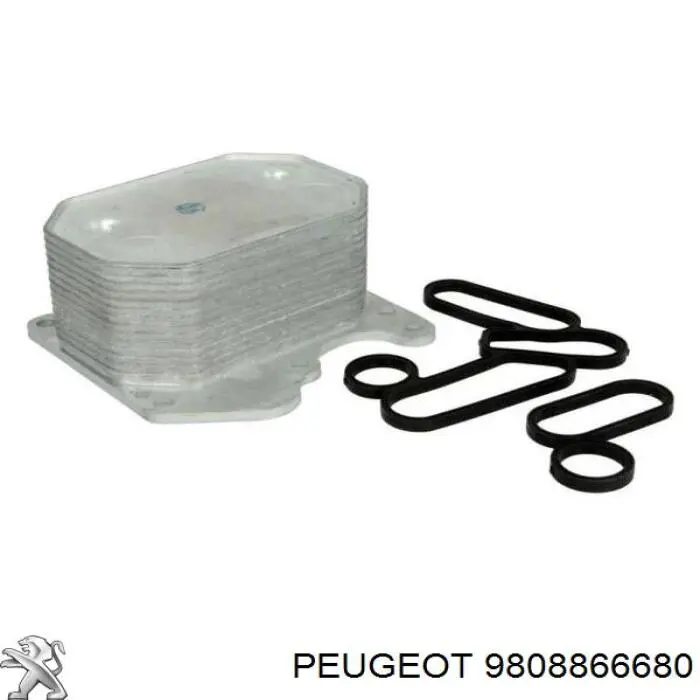 Compre 9808866680 Peugeot/Citroen Caixa do filtro de óleo
