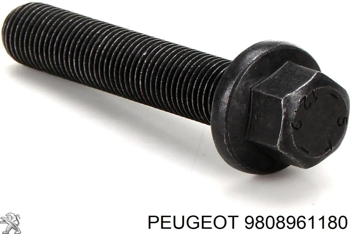 9808961180 Peugeot/Citroen Parafuso da polia de cambota