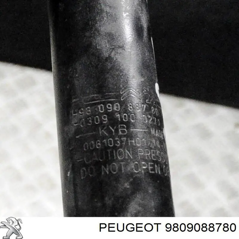 Amortecedor traseiro Peugeot/Citroen 9809088780