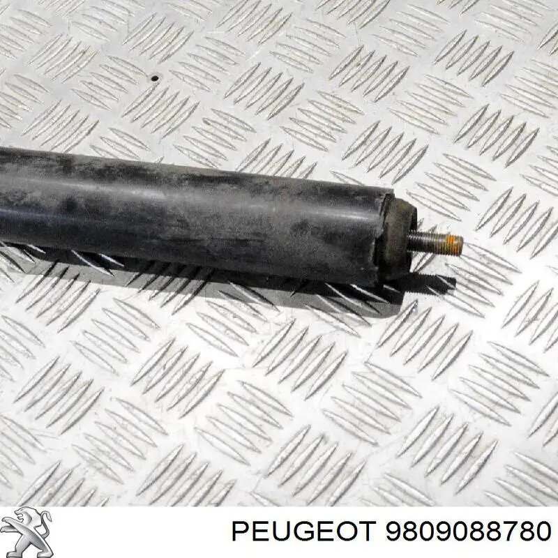 Amortecedor traseiro 9809088780 Peugeot/Citroen