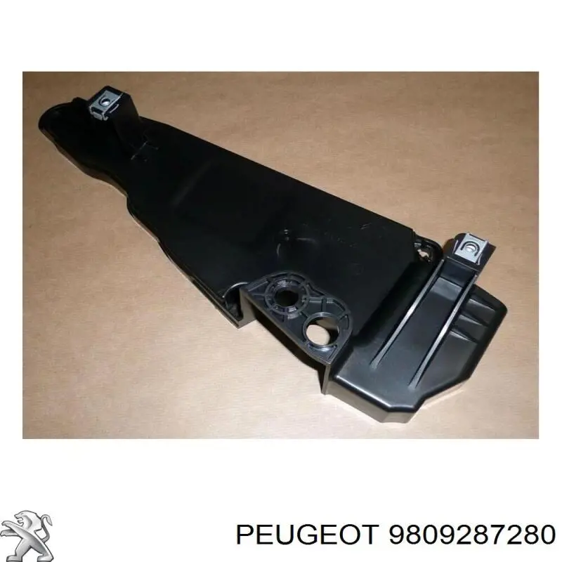Compre 9809287280 Peugeot/Citroen 