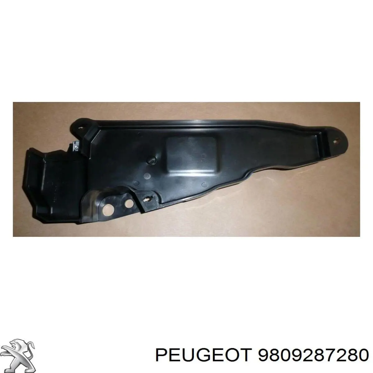 9809287280 Peugeot/Citroen 