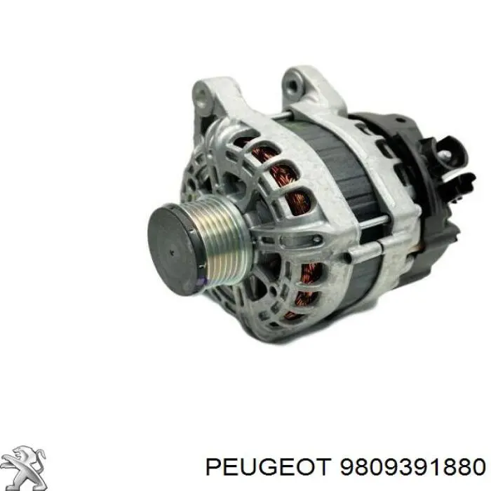 9809391880 Peugeot/Citroen Gerador