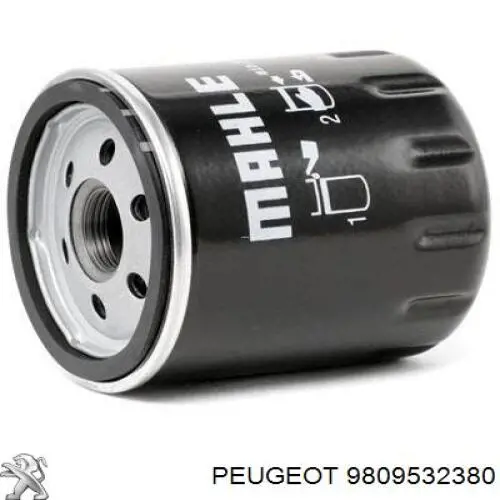 Compre 9809532380 Peugeot/Citroen Filtro de óleo