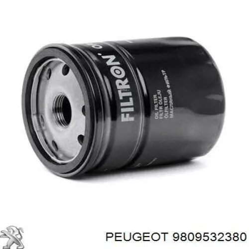 9809532380 Peugeot/Citroen Filtro de óleo