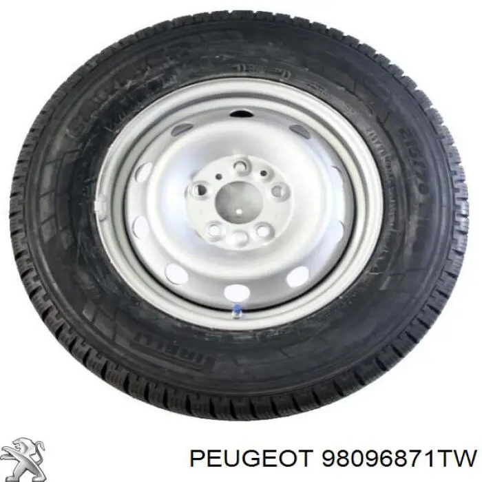 98096871TW Peugeot/Citroen 