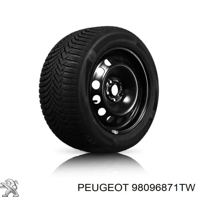 Compre 98096871TW Peugeot/Citroen 