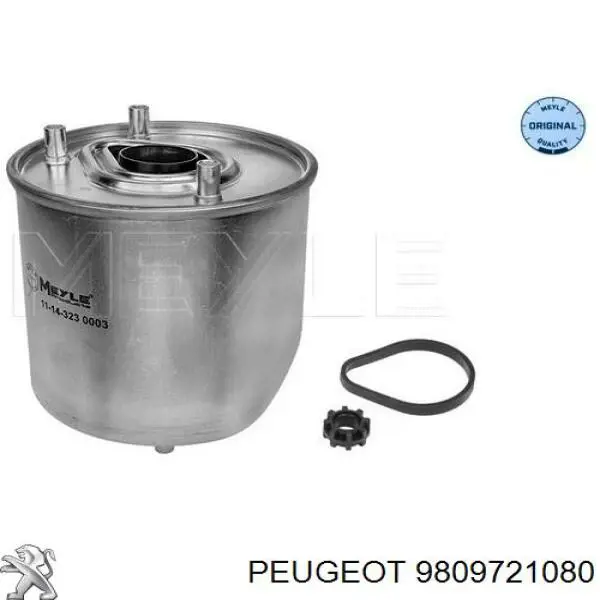 9809721080 Peugeot/Citroen Filtro de combustível