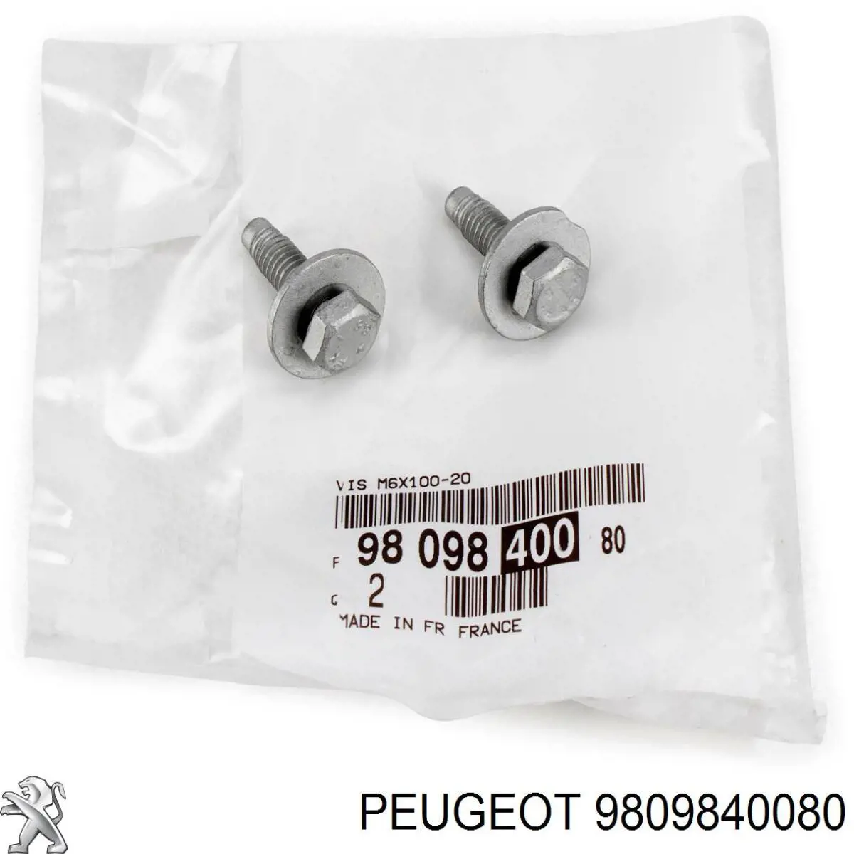 9809840080 Peugeot/Citroen 
