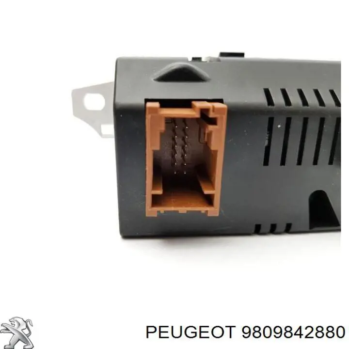  9809842880 Peugeot/Citroen