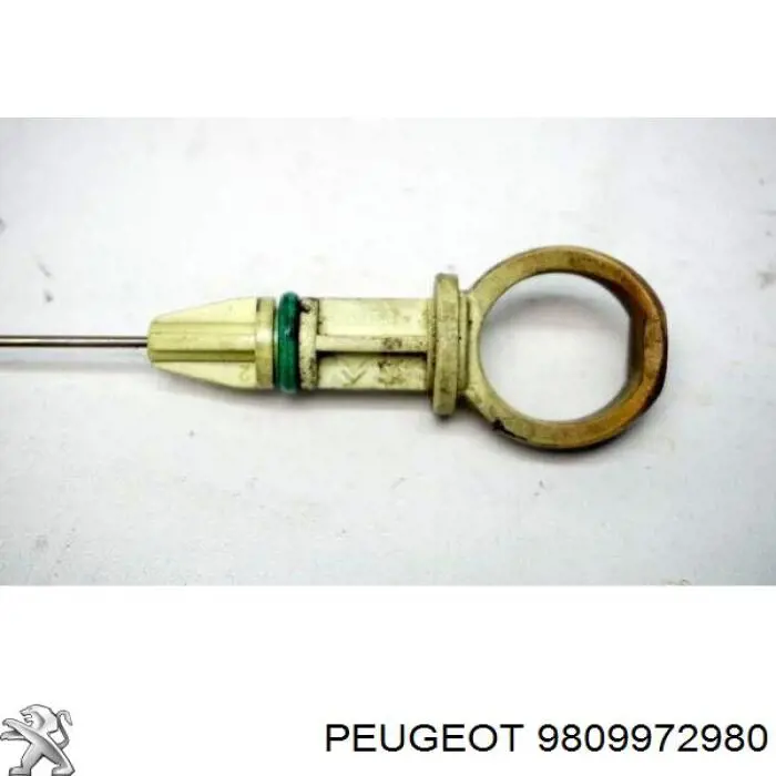 9809972980 Peugeot/Citroen 