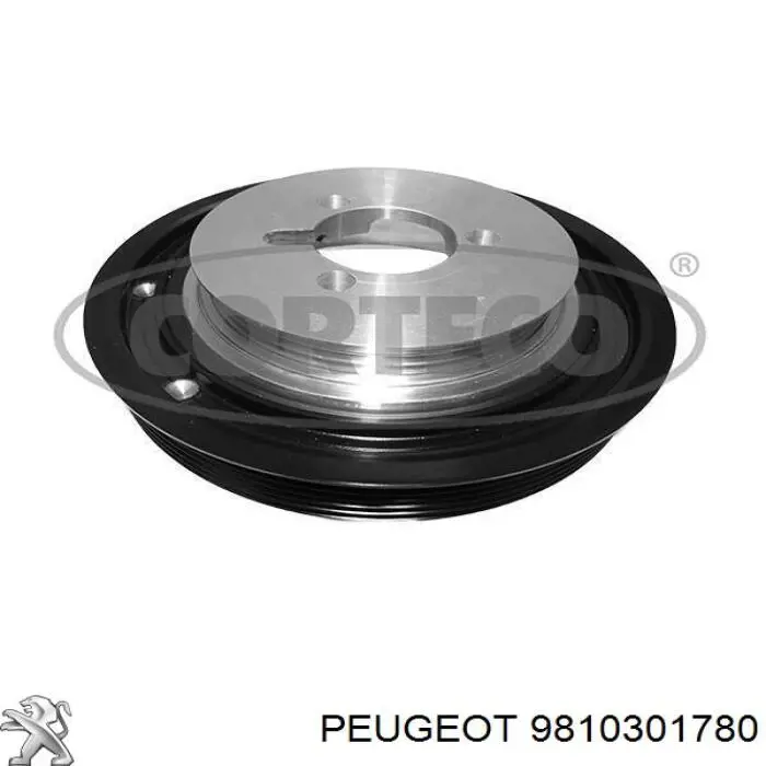 9800864680 Peugeot/Citroen Polia de cambota