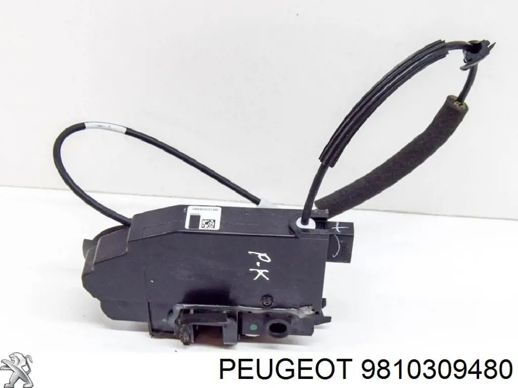  Peugeot/Citroen 9810309480