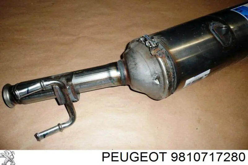 Compre 9810717180 Peugeot/Citroen 