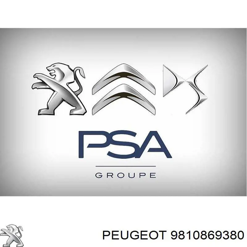 Peugeot/Citroen 9810869380