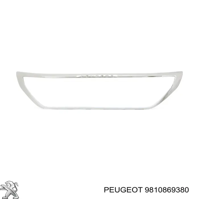 Compre 9810869380 Peugeot/Citroen 