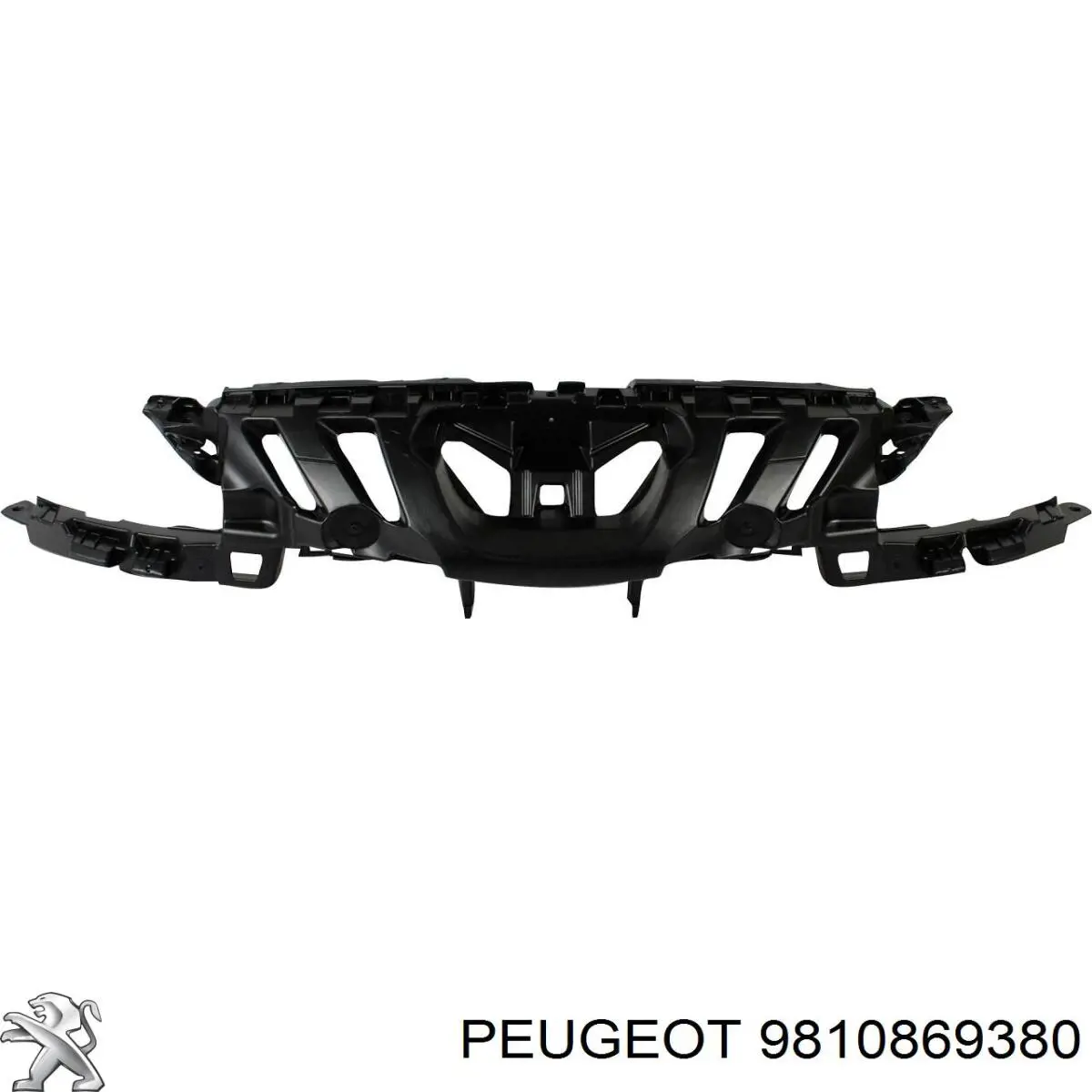 9810869380 Peugeot/Citroen 