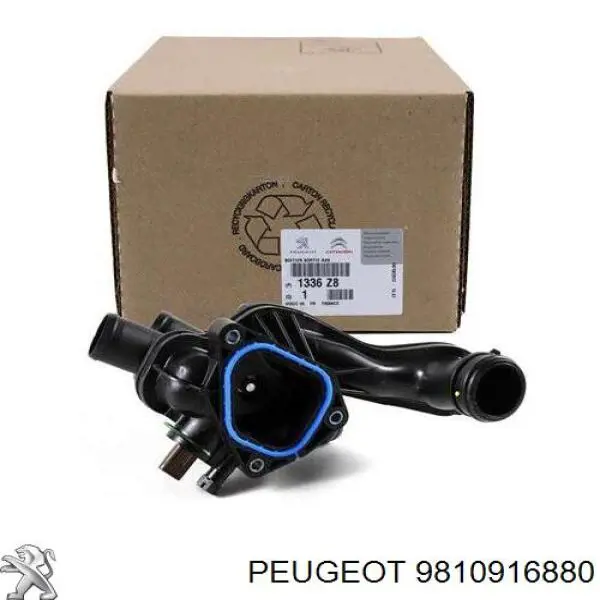 Compre 9810916880 Peugeot/Citroen Caixa do termostato