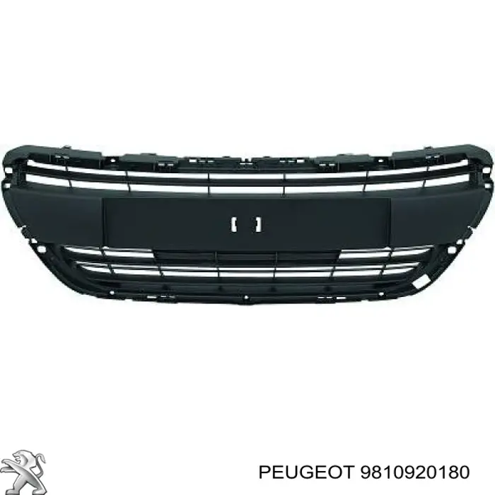 Grelha do radiador Prasco PG3282120 preço, a partir de 59,13 USD