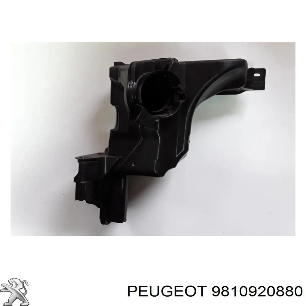 9810920880 Peugeot/Citroen Ressonador de filtro de ar