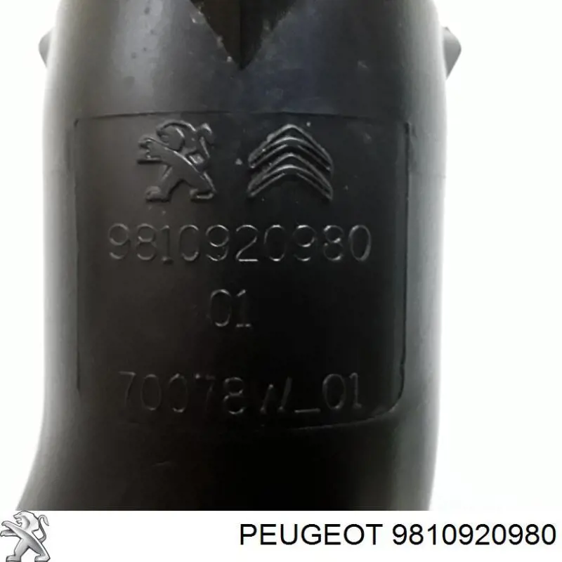 Compre 9810920980 Peugeot/Citroen Cano derivado de ar, entrada de filtro de ar